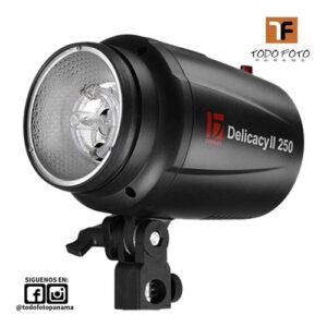 Flash delicacy ii-250 jinbei d-250ii