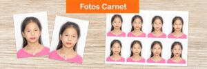 fotos carnets